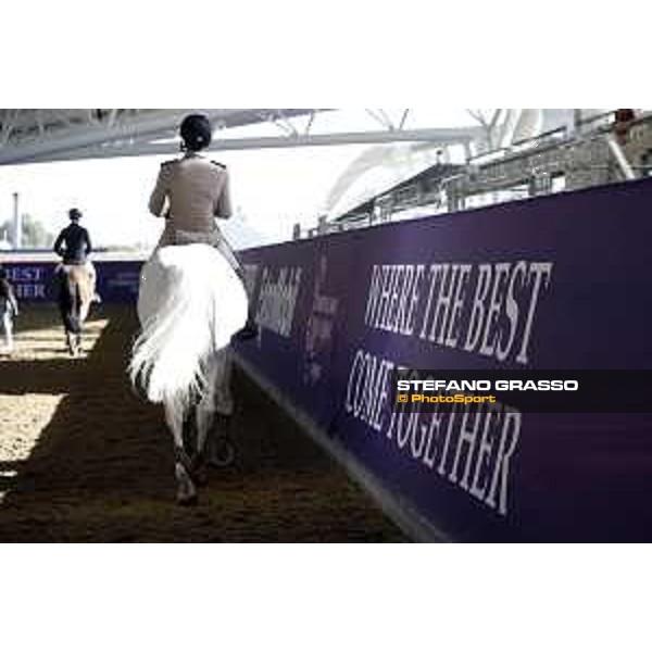CHI of Al Shaqab - Behind the scenes - Doha, Al Shaqab - 27 February 2020 - ph.Frank Sorge/CHI Al Shaqab