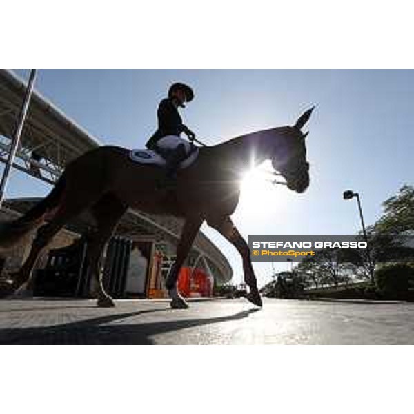 CHI of Al Shaqab - Behind the scenes - Doha, Al Shaqab - 27 February 2020 - ph.Frank Sorge/CHI Al Shaqab