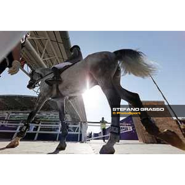 CHI of Al Shaqab - Behind the scenes - Doha, Al Shaqab - 27 February 2020 - ph.Frank Sorge/CHI Al Shaqab