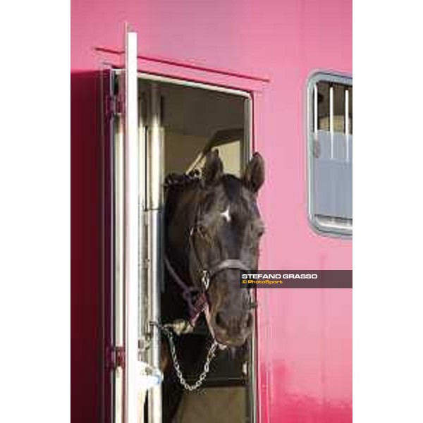 CHI of Al Shaqab - Behind the scenes - Doha, Al Shaqab - 27 February 2020 - ph.Frank Sorge/CHI Al Shaqab
