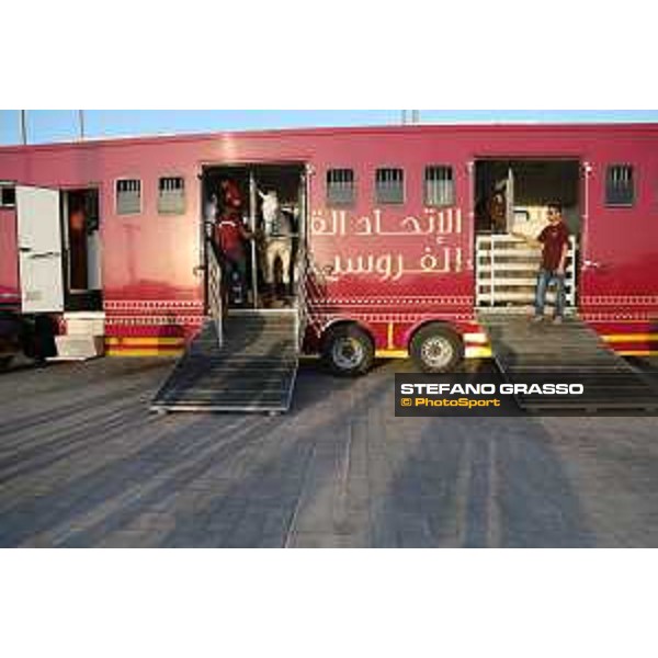 CHI of Al Shaqab - Behind the scenes - Doha, Al Shaqab - 27 February 2020 - ph.Frank Sorge/CHI Al Shaqab