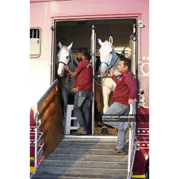 CHI of Al Shaqab - Behind the scenes - Doha, Al Shaqab - 27 February 2020 - ph.Frank Sorge/CHI Al Shaqab