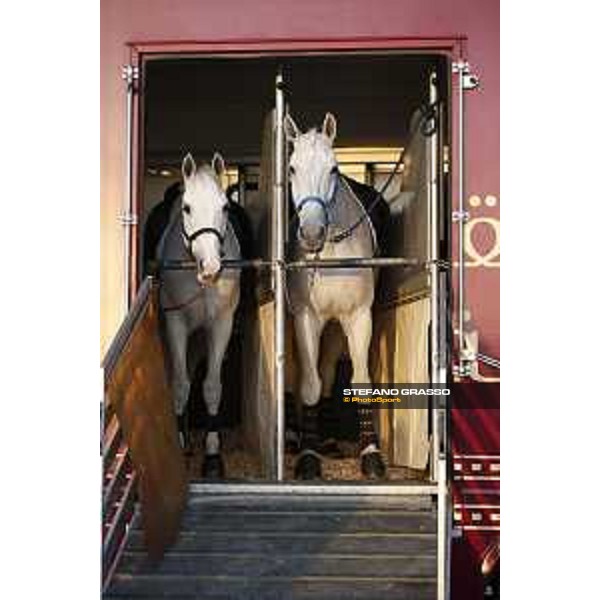 CHI of Al Shaqab - Behind the scenes - Doha, Al Shaqab - 27 February 2020 - ph.Frank Sorge/CHI Al Shaqab