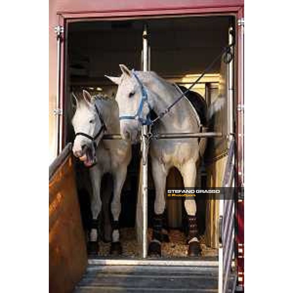 CHI of Al Shaqab - Behind the scenes - Doha, Al Shaqab - 27 February 2020 - ph.Frank Sorge/CHI Al Shaqab