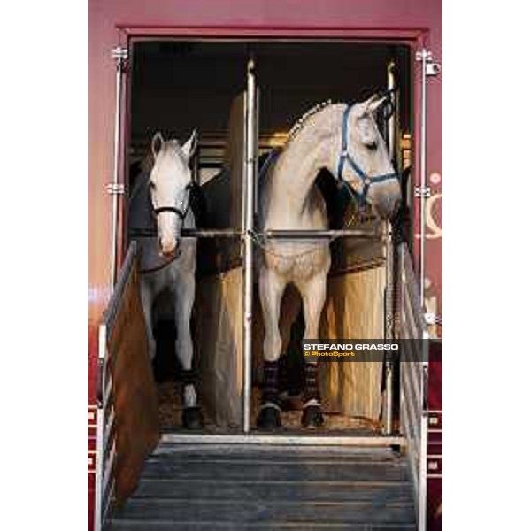 CHI of Al Shaqab - Behind the scenes - Doha, Al Shaqab - 27 February 2020 - ph.Frank Sorge/CHI Al Shaqab