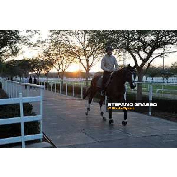 CHI of Al Shaqab - Behind the scenes - Doha, Al Shaqab - 27 February 2020 - ph.Frank Sorge/CHI Al Shaqab