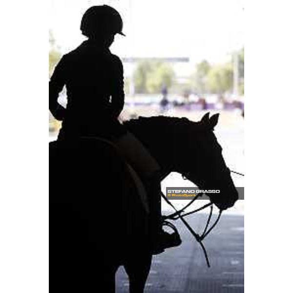 CHI of Al Shaqab - Behind the scenes - Doha, Al Shaqab - 28 February 2020 - ph.Frank Sorge/CHI Al Shaqab