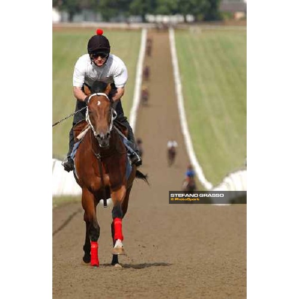 gallopps at Newmarket Newmarket 7th july 2004 ph. Stefano Grasso