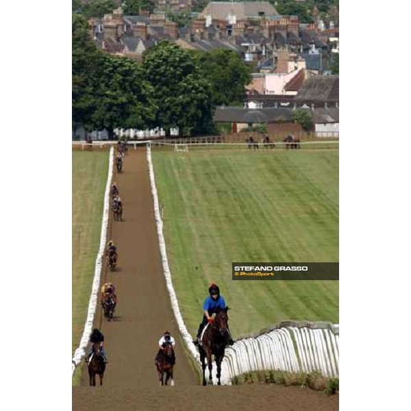 gallopps at Newmarket Newmarket 7th july 2004 ph. Stefano Grasso