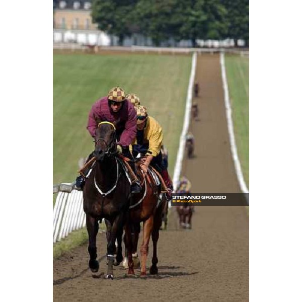 gallopps at Newmarket Newmarket 7th july 2004 ph. Stefano Grasso