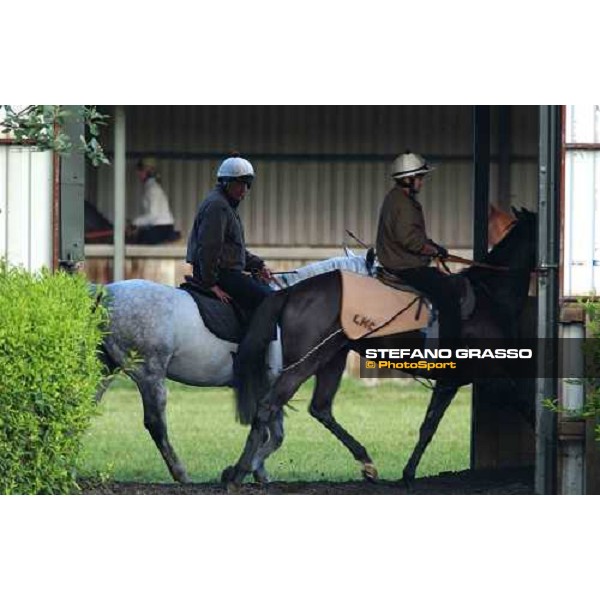 Luca Cumani watching at warm up at Bedford House Newmarket 8th july 2004 ph. Stefano Grasso