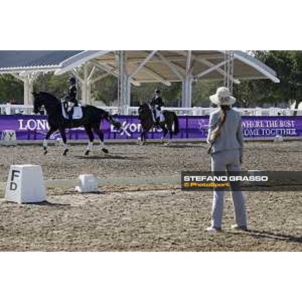 CHI of Al Shaqab - Mix, details - Doha, Al Shaqab - 27 February 2020 - ph.Frank Sorge/CHI Al Shaqab