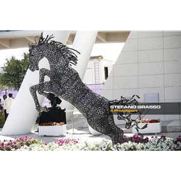 CHI of Al Shaqab - Mix, details - Doha, Al Shaqab - 28 February 2020 - ph.Frank Sorge/CHI Al Shaqab