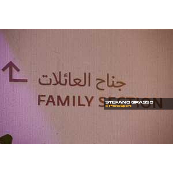 CHI of Al Shaqab - Mix, details - Doha, Al Shaqab - 28 February 2020 - ph.Frank Sorge/CHI Al Shaqab