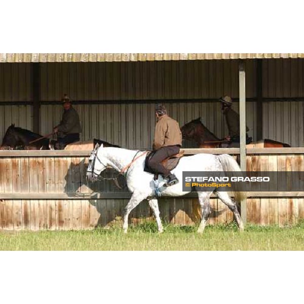 Luca Cumani Newmarket 7th july 2004 ph. Stefano Grasso
