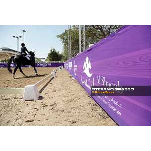 CHI of Al Shaqab - Behind the scenes - Doha, Al Shaqab - 28 February 2020 - ph.Frank Sorge/CHI Al Shaqab