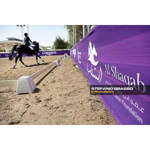 CHI of Al Shaqab - Behind the scenes - Doha, Al Shaqab - 28 February 2020 - ph.Frank Sorge/CHI Al Shaqab