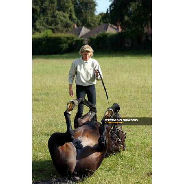 Sarah Cumani with an horse relaxing in the grass at Bedford House, after morning works Newmarket 7th july 2004 ph. Stefano Grasso