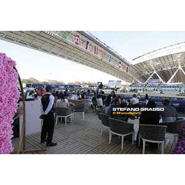LGCT of Doha - Coffee lounge Doha, Al Shaqab - Longines Arena - 6 March 2020 - ph.Stefano Grasso/LGCT
