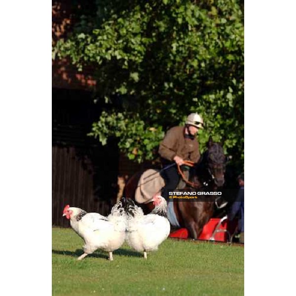 Bedford House Newmarket 8th july 2004 ph. Stefano Grasso