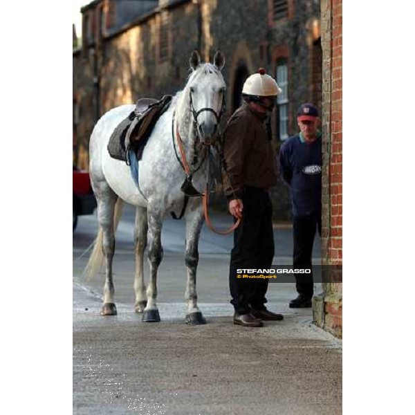 Luca Cumani speaking with Jan Willos at Bedford house Newmarket 8th july 2004 ph. Stefano Grasso