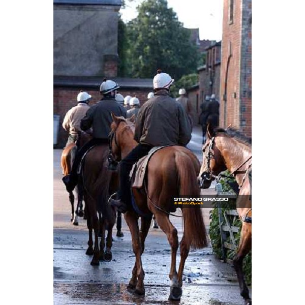 Luca Cumani\'s team going out to morning works Newmarket 8th july 2004 ph. Stefano Grasso