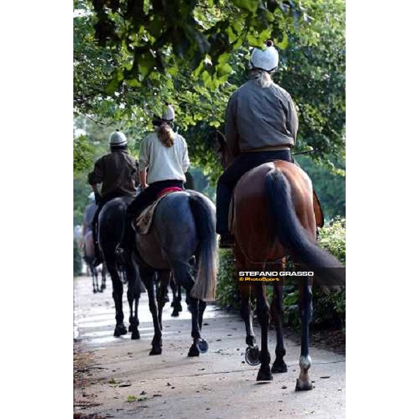 Luca Cumani\'s team going to morning works Newmarket 8th july 2004 ph. Stefano Grasso