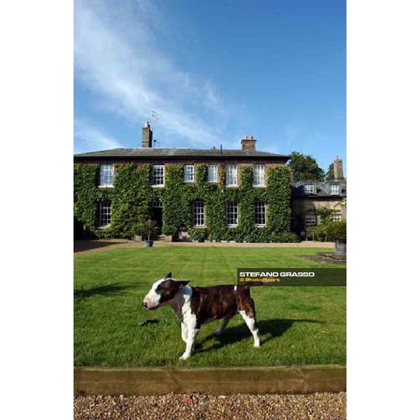 Tyke at Bedford House Newmarket 8th july 2004 ph. Stefano Grasso