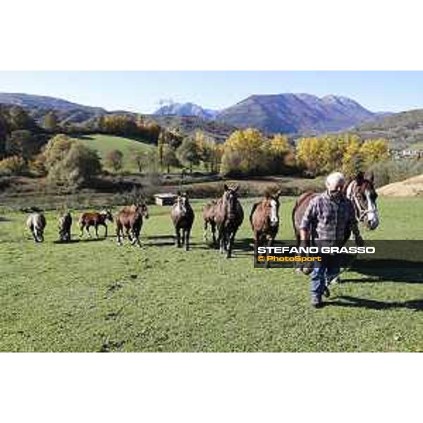 A day with CAI TPR at Piedimordenti Domenico Di Placido Piedimordenti (RI), 31/10/2020 ph.Stefano Grasso