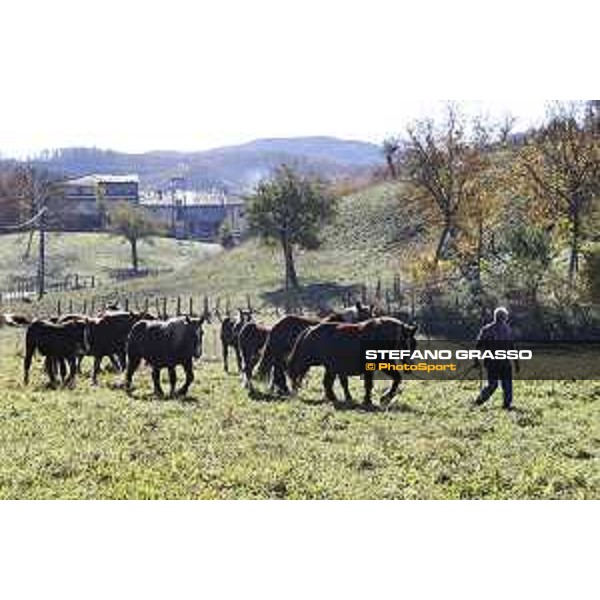 A day with CAI TPR at Piedimordenti Piedimordenti (RI), 31/10/2020 ph.Stefano Grasso