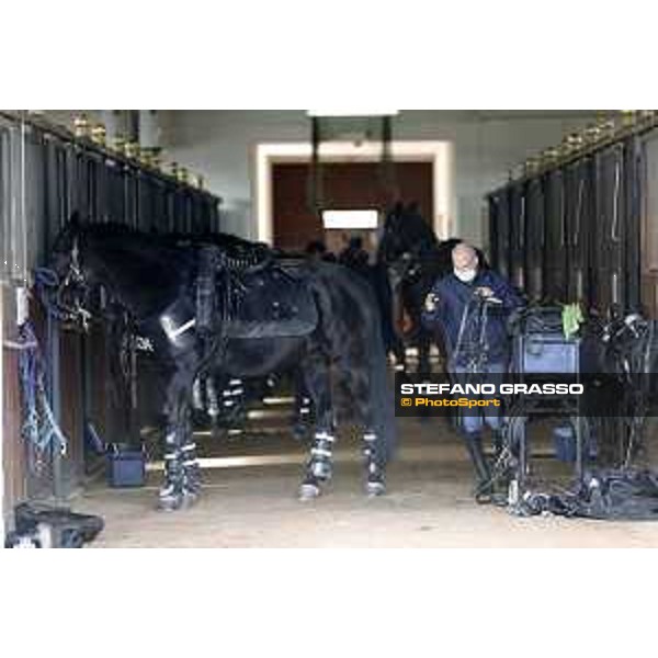 Esercitazione Polizia e Carabinieri a Cavallo O.P. Centro di Coordinamento dei Servizi Cinofili ed a Cavallo della Polizia di Stato Ladispoli, 30/10/2020 ph.Stefano Grasso
