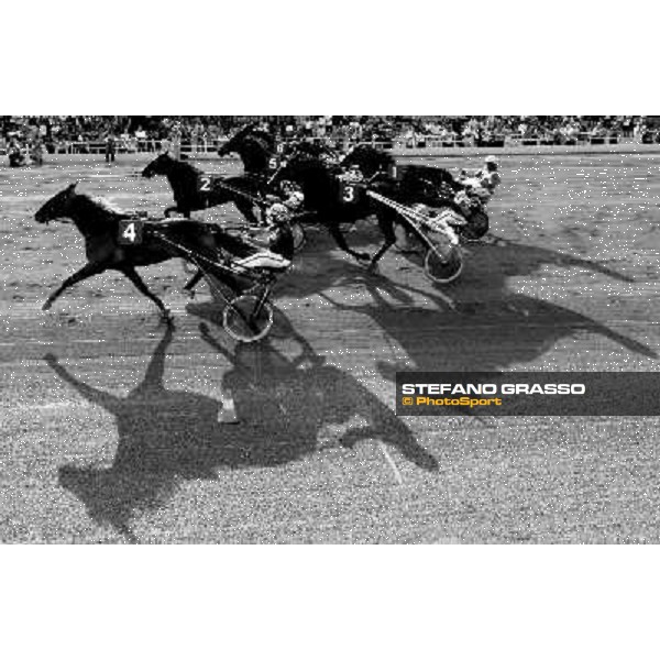 finish of Premio Kiwanis Torino Centro - Marco Smorgon wins with La Dany Bar, followed by Lapidario, Ludwig Bi, Lisa America, Legend Kronos and Lincoln Ors Torino, 13th sept. 2009 ph. Stefano Grasso
