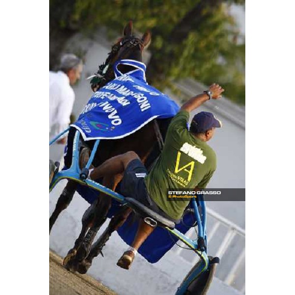 Mind Wise As returns back to the stable after winning the Premio avv. Carlo Marangoni - Mem. Fabio Jegher Torino, 13th sept. 2009 ph. Stefano Grasso