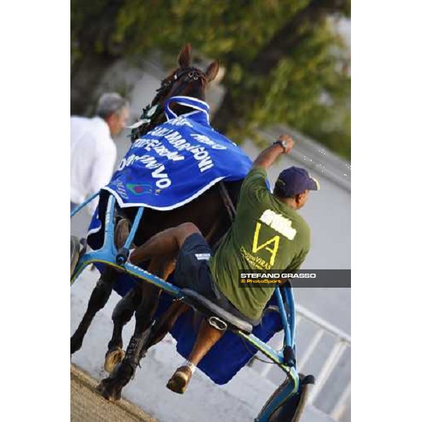 Mind Wise As returns back to the stable after winning the Premio avv. Carlo Marangoni - Mem. Fabio Jegher Torino, 13th sept. 2009 ph. Stefano Grasso