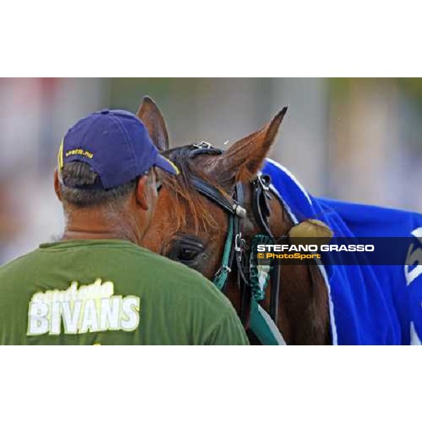 a close up for Mind Wise As after winning the Premio avv. Carlo Marangoni - Mem. Fabio Jegher Torino, 13th sept. 2009 ph. Stefano Grasso