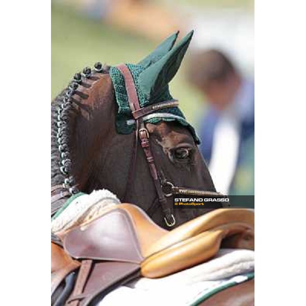 portraits and emotions from the Italian showjumping championship La Bagnaia, 17th sept. 2009 ph. Stefano Grasso