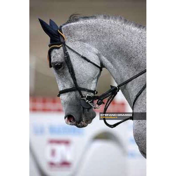 portraits and emotions from the Italian showjumping championship La Bagnaia, 17th sept. 2009 ph. Stefano Grasso