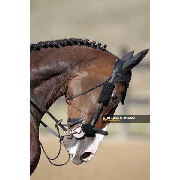 portraits and emotions from the Italian showjumping championship La Bagnaia, 17th sept. 2009 ph. Stefano Grasso