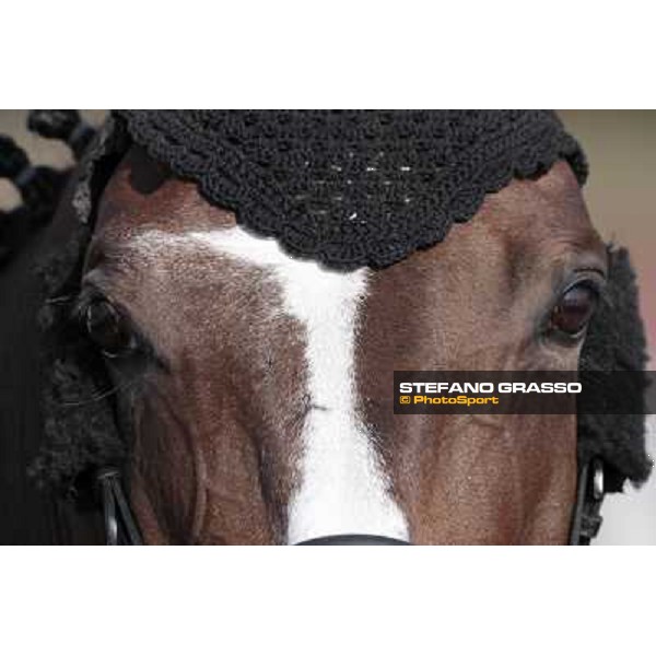 portraits and emotions from the Italian showjumping championship La Bagnaia, 17th sept. 2009 ph. Stefano Grasso