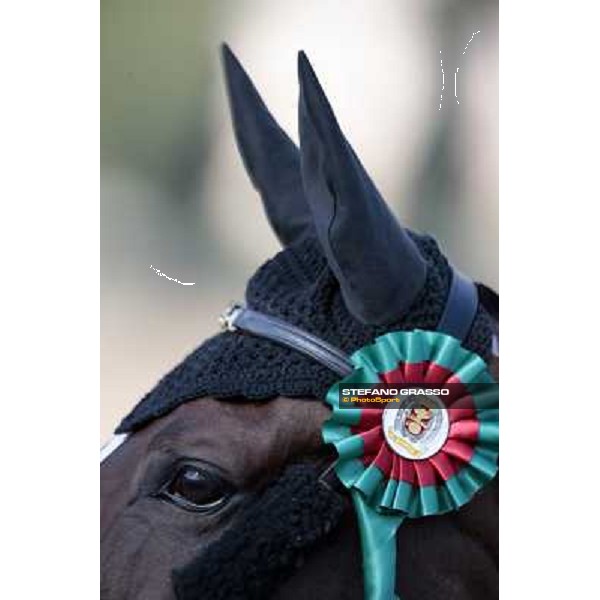 portraits and emotions from the Italian showjumping championship La Bagnaia, 17th sept. 2009 ph. Stefano Grasso