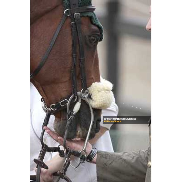 portraits and emotions from the Italian showjumping championship La Bagnaia, 17th sept. 2009 ph. Stefano Grasso