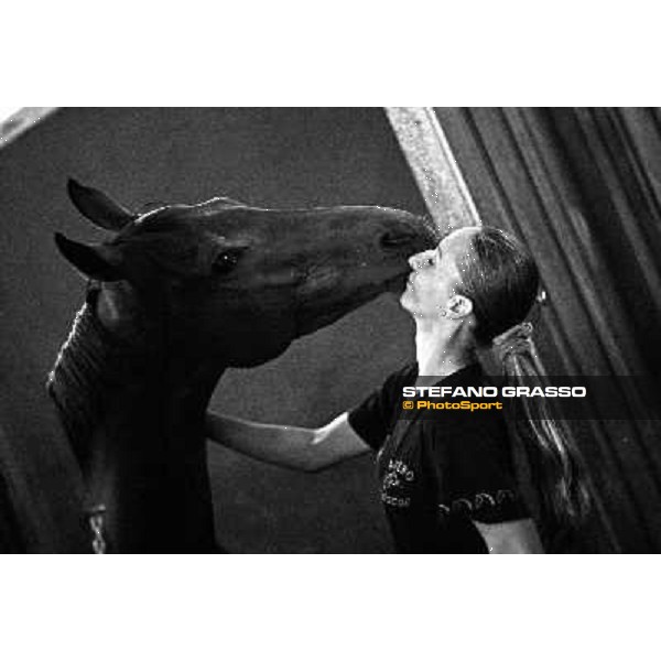 love between Helen and Sharstar in the box at Borgo Andreina Merano Maia, 24th sept. 2009 ph. Stefano Grasso