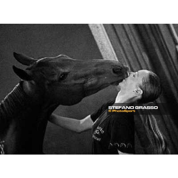 love between Helen and Sharstar in the box at Borgo Andreina Merano Maia, 24th sept. 2009 ph. Stefano Grasso