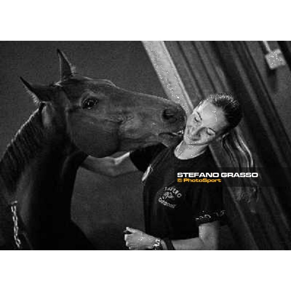 love between Helen and Sharstar in the box at Borgo Andreina Merano Maia, 24th sept. 2009 ph. Stefano Grasso