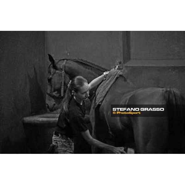 Helen prepares Sharstar in the box at Borgo Andreina Merano Maia, 24th sept. 2009 ph. Stefano Grasso
