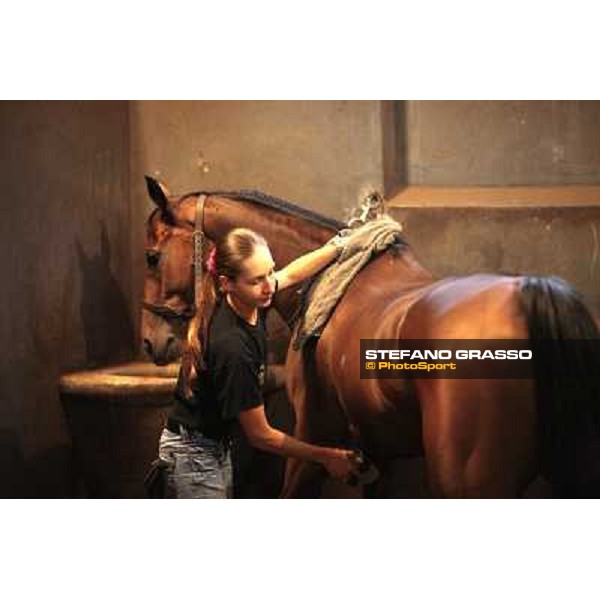 Helen prepares Sharstar in the box at Borgo Andreina Merano Maia, 24th sept. 2009 ph. Stefano Grasso