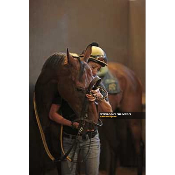 Helen prepares Sharstar before morning works Merano Maia, 24th sept. 2009 ph. Stefano Grasso