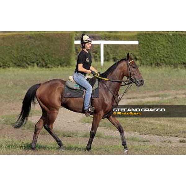 Helen walking on Sharstar during morning works at Merano Maia Merano Maia, 24th sept. 2009 ph. Stefano Grasso