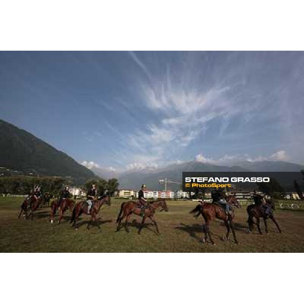 a group of horses of Paolo Favero during morning works at Merano Maia Merano Maia, 24th sept. 2009 ph. Stefano Grasso