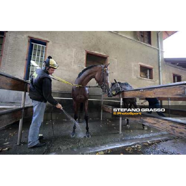 a shower for Sharstar at Borgo Andreina by Raffaele Romano Merano Maia, 24th sept. 2009 ph. Stefano Grasso